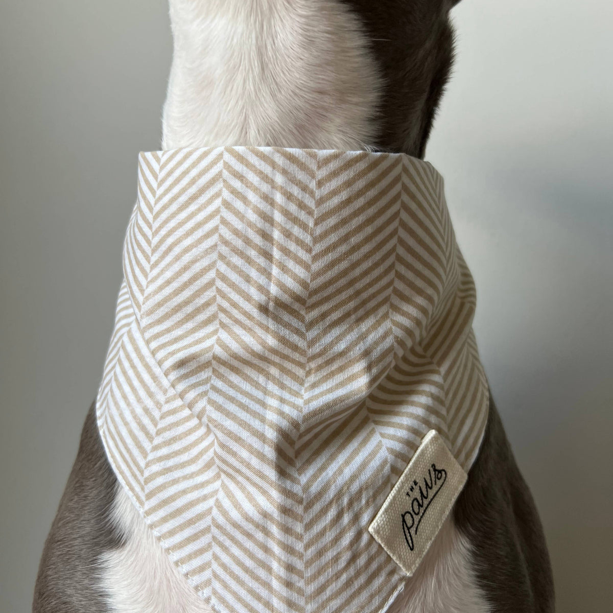 Herringbone Dog Bandana