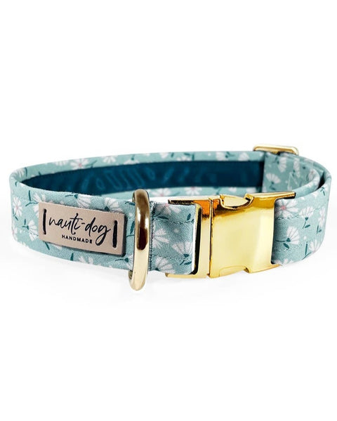 Paperwhite Sea Glass Floral Buckle & Martingale Dog Collar Gold Buckle