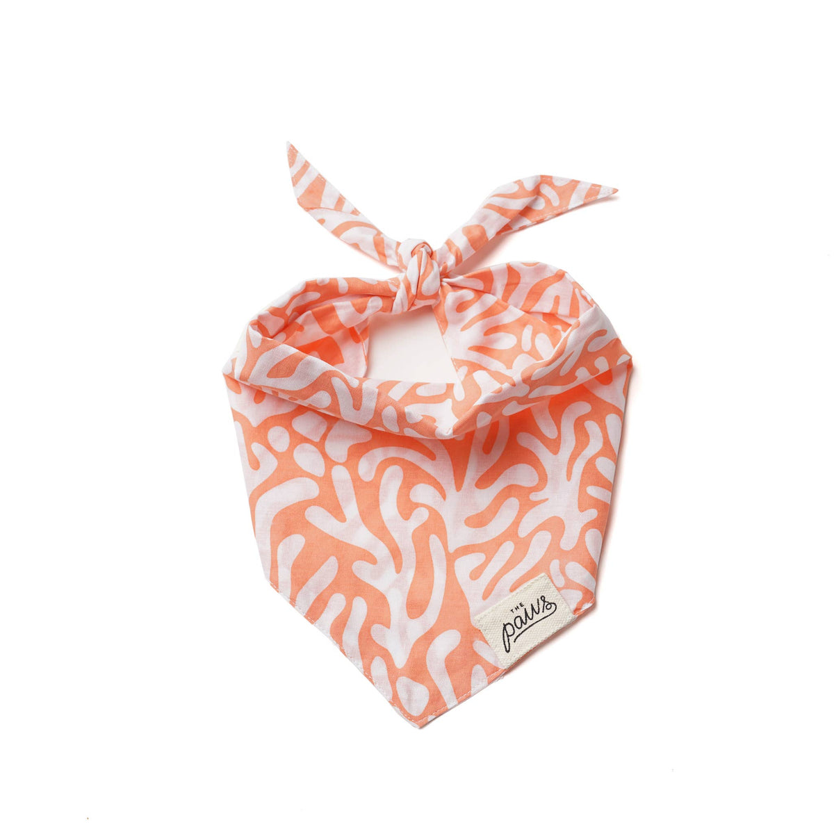 Reef Dog Bandana