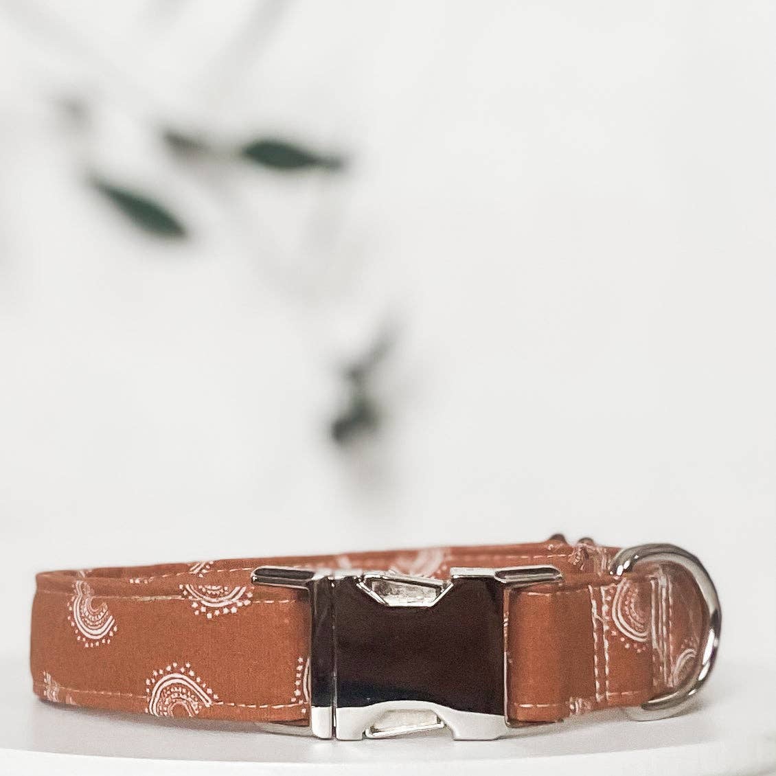 Boho mini rainbows boho dog collar with silver buckle