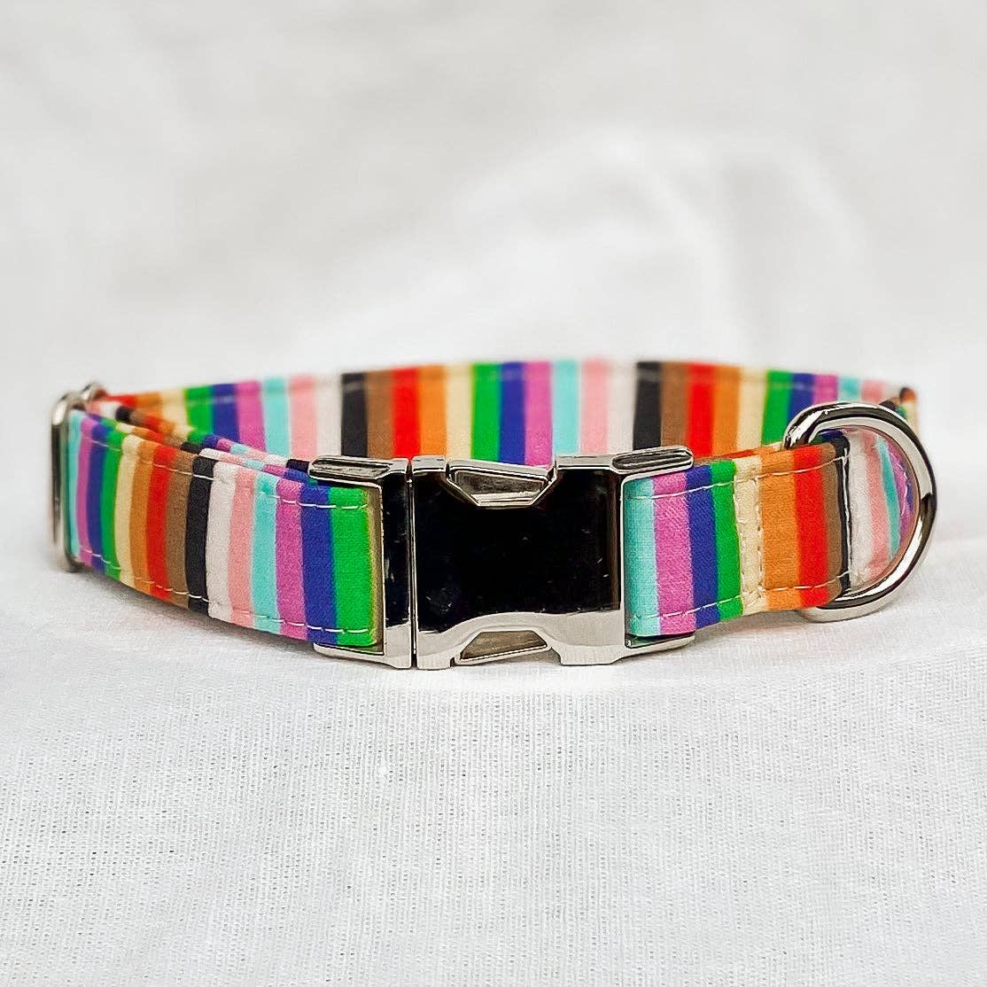 Progress pride flag stripes dog collar equality rainbow