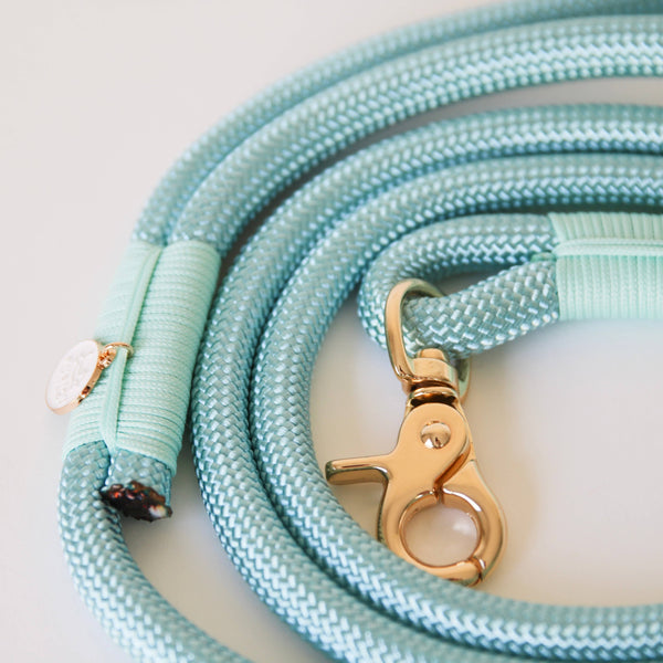 'Aqua' - Braided Rope Leash