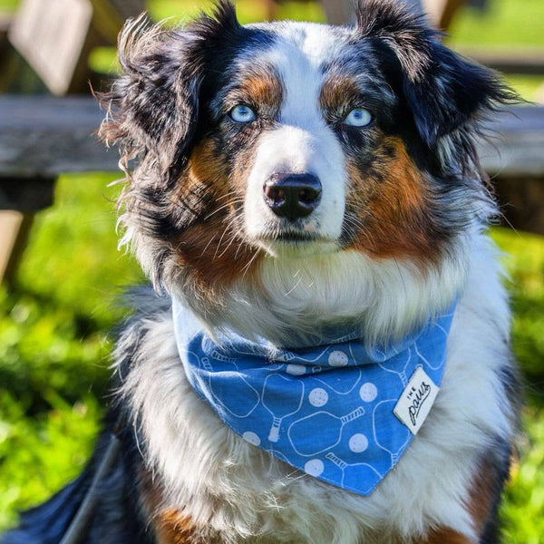 Ace (Pickleball) Dog Bandana