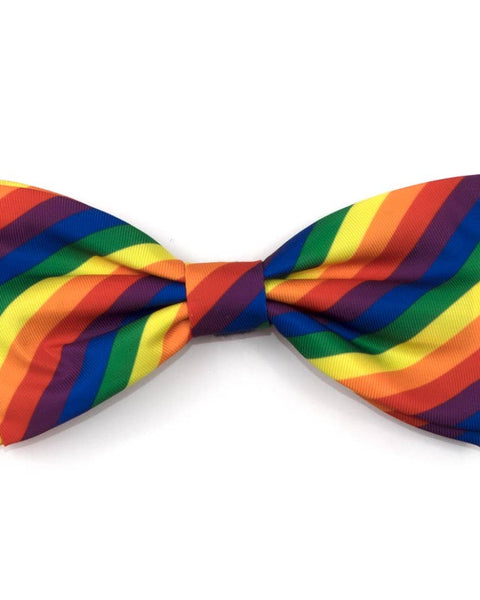 Rainbow Bow Tie