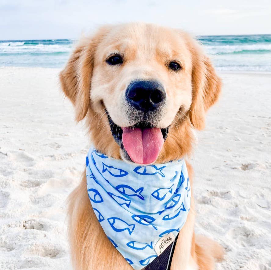 Go Fish Dog Bandana