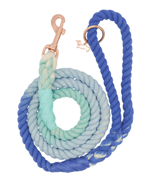 Dog Rope Leash - Tropic