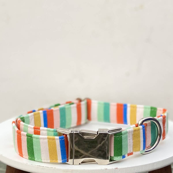 Dog collar Retro beach ball inspired summer stripes cobalt