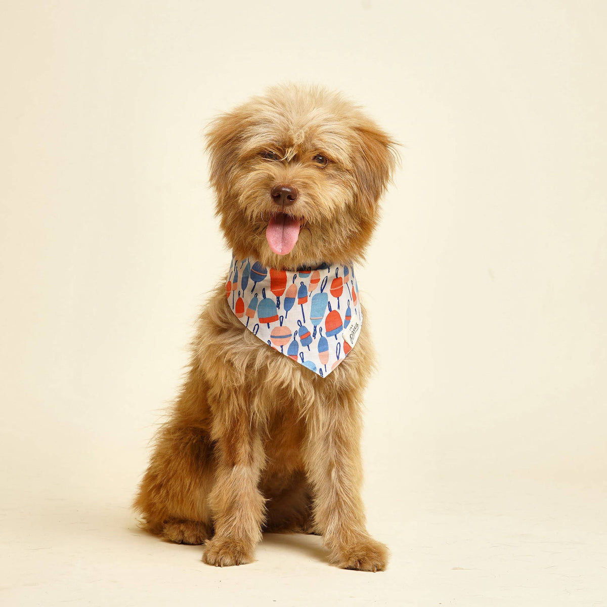 Buoy Dog Bandana