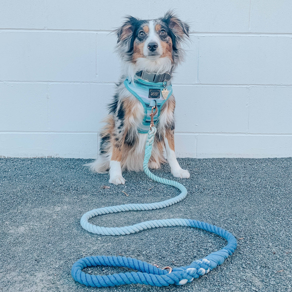 Dog Rope Leash - Tropic