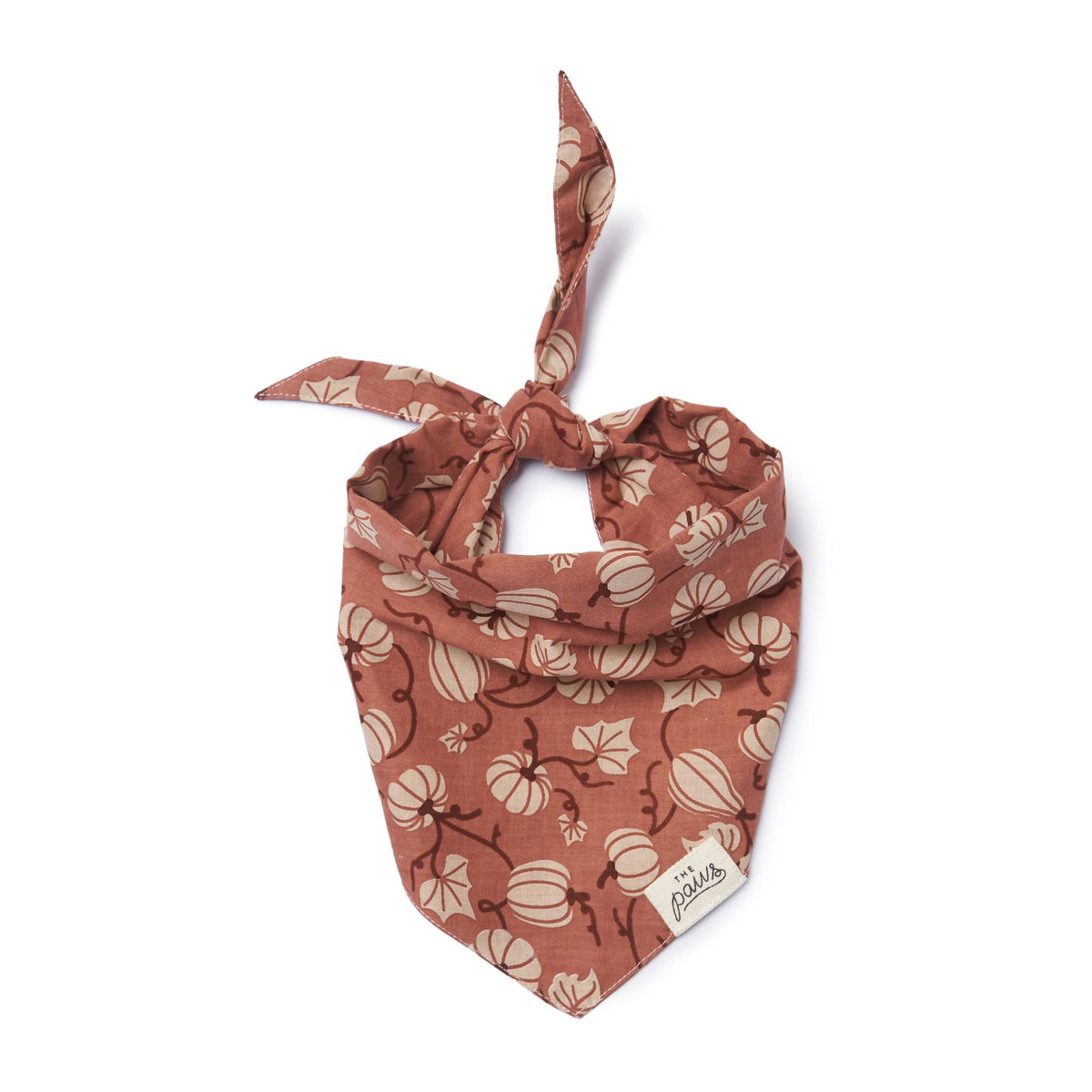 Harvest Fall Dog Bandana