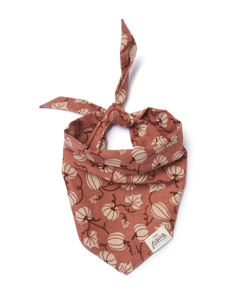 Harvest Fall Dog Bandana