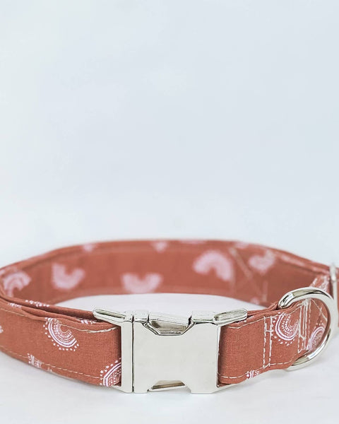 Boho mini rainbows boho dog collar with silver buckle