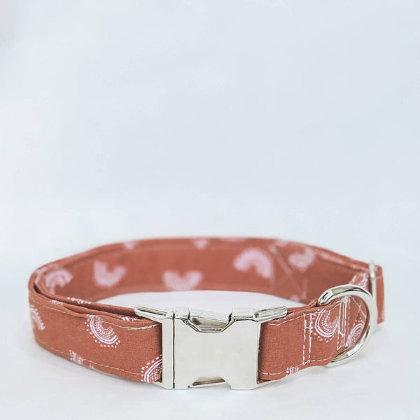 Boho mini rainbows boho dog collar with silver buckle