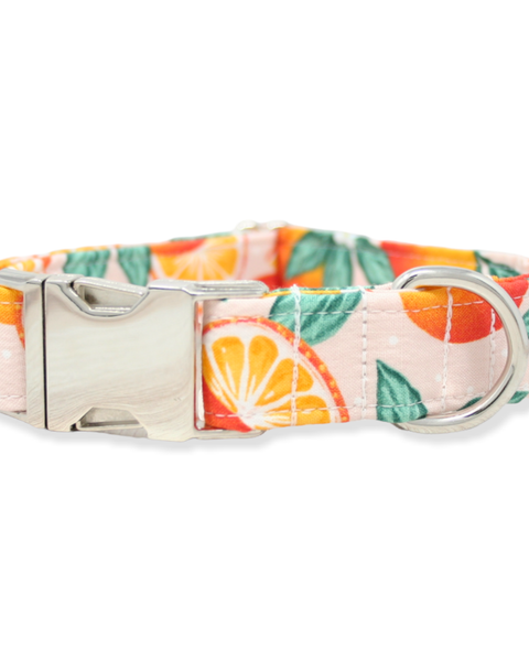 Summer Dog Collar, Oranges