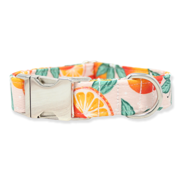 Summer Dog Collar, Oranges