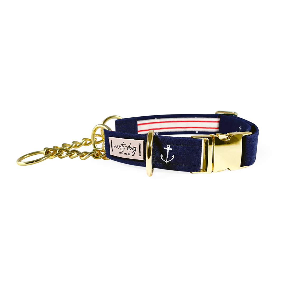 Anchors Away Nautical Buckle & Martingale Dog Collar