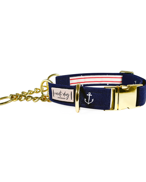 Anchors Away Nautical Buckle & Martingale Dog Collar