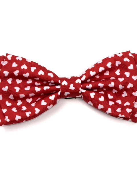 Hearts Bow Tie