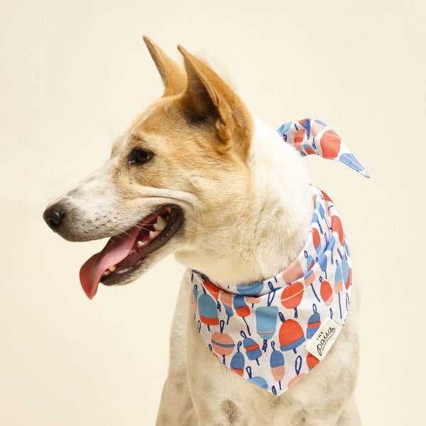 Buoy Dog Bandana