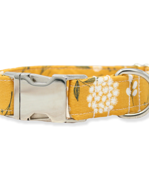 Floral Dog Collar, Summer Dog Collar, Fall